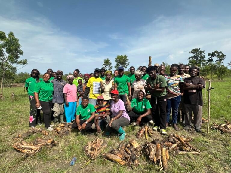 Empowering Women, Restoring Forests: 2,000 Plantain Suckers Distributed!