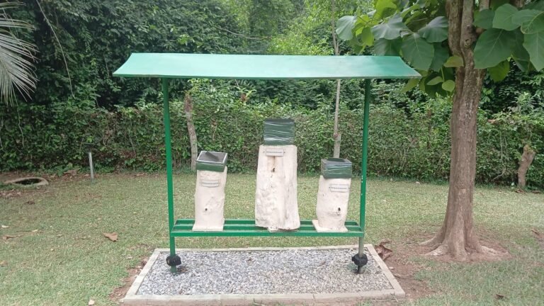Earth Care Ghana Celebrates World Bee Day at the International Stingless Bee Centre